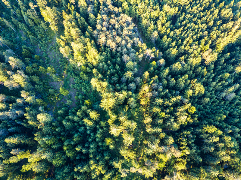 Flight over the Bavarian Forest, Lower Bavaria 