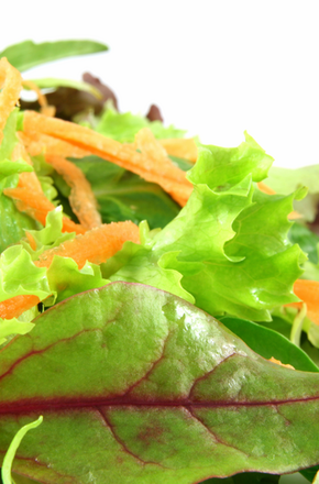 ThinkstockPhotos-98730704