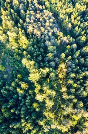 Flight over the Bavarian Forest, Lower Bavaria 